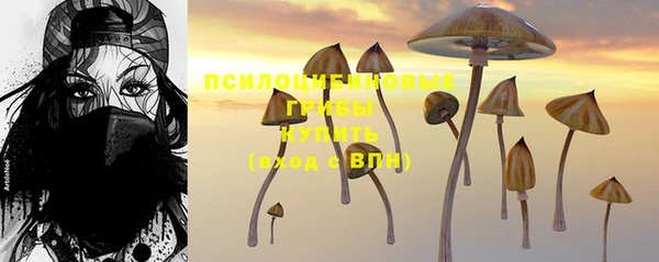 таблы Алексеевка