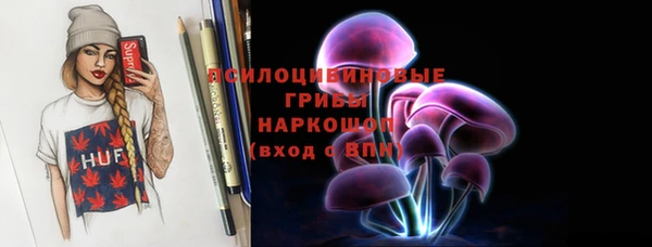 PSILOCYBIN Алзамай