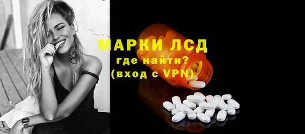 PSILOCYBIN Алзамай