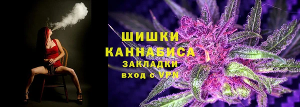 PSILOCYBIN Алзамай