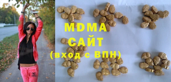 PSILOCYBIN Алзамай