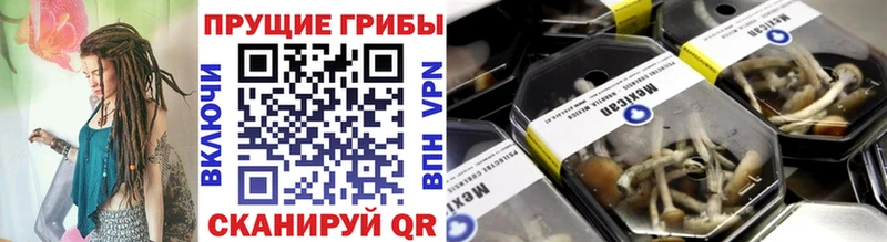 продажа наркотиков  Олонец  Галлюциногенные грибы MAGIC MUSHROOMS 